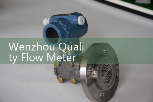 Wenzhou quality flowmeter manufacturer supplies